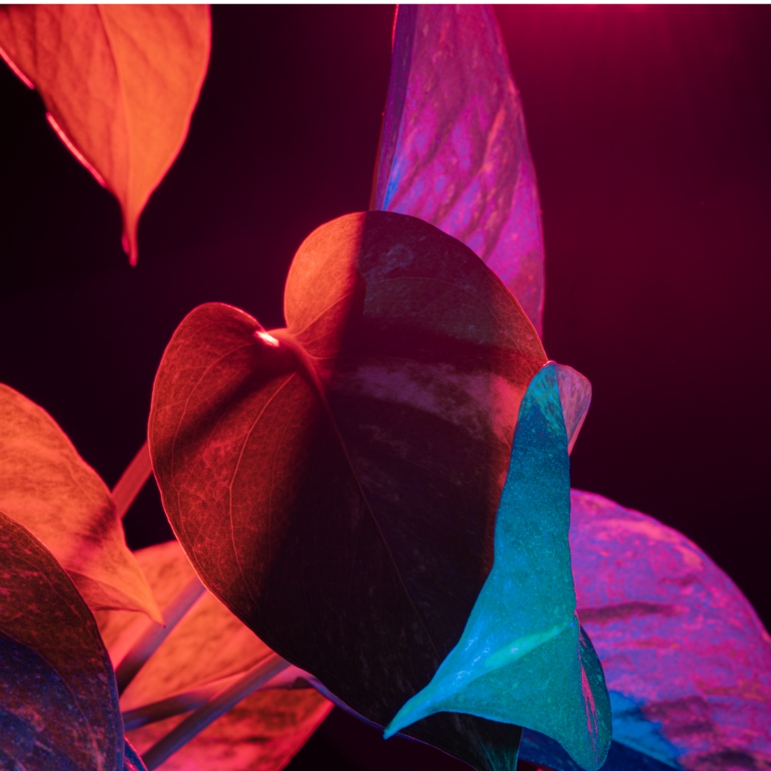 "Magic leaves" - Ready-made Custom Dual-layer case for iPhone